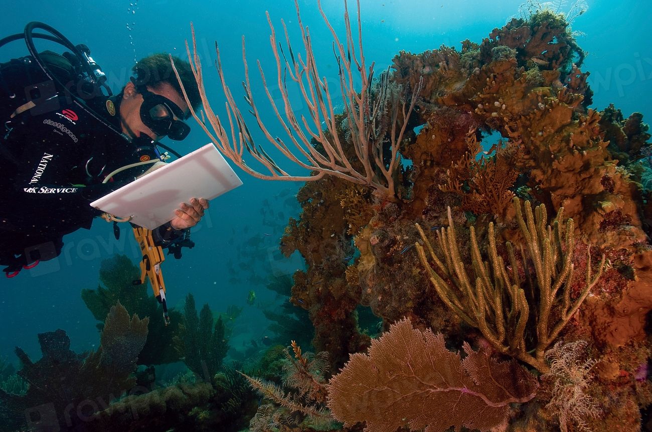 Amed, Bali