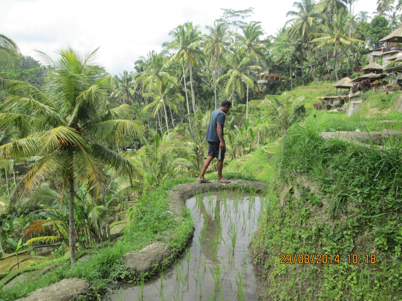 Ubud, Bali